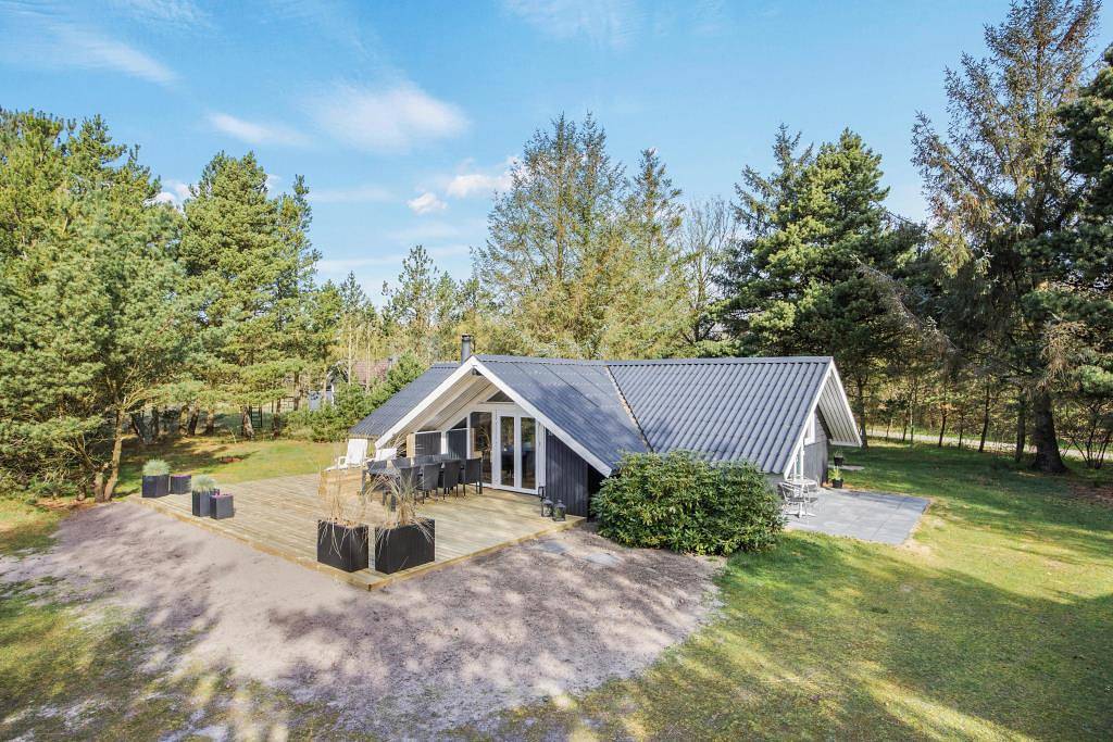 Helles, gemütliches Ferienhaus für 5 Personen in Ho in Blavand, Varde