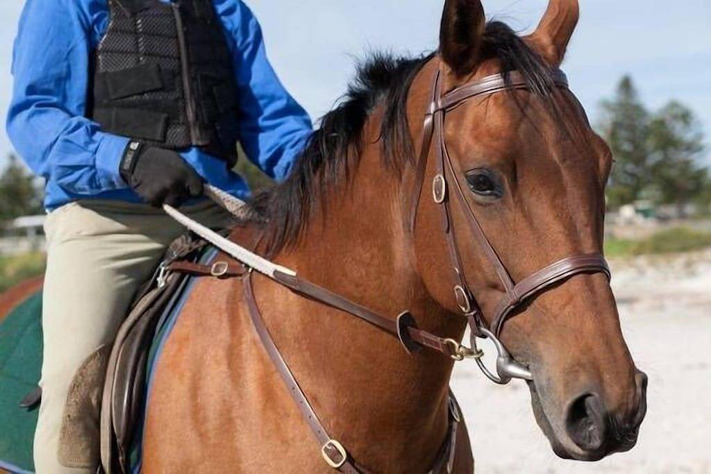 Bed And Breakfast for 2 People in South Australia, Australia