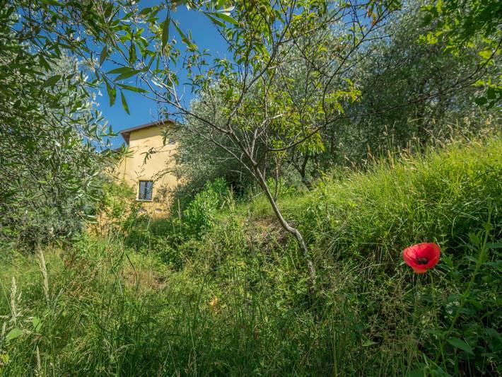 Villa Garibaldino in Podenzana, Val di Magra