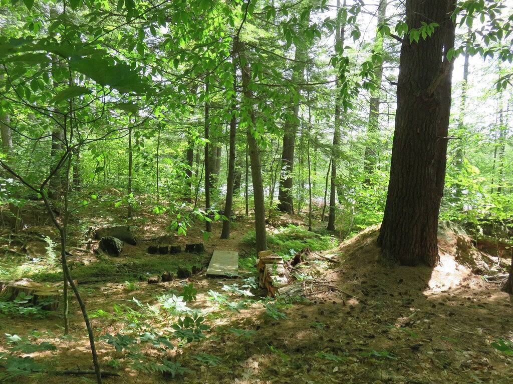 Abgeschieden, Lakeside Log Cabin am Squam Lake mit eigenem Dock in Sandwich (NH), Squam Lake