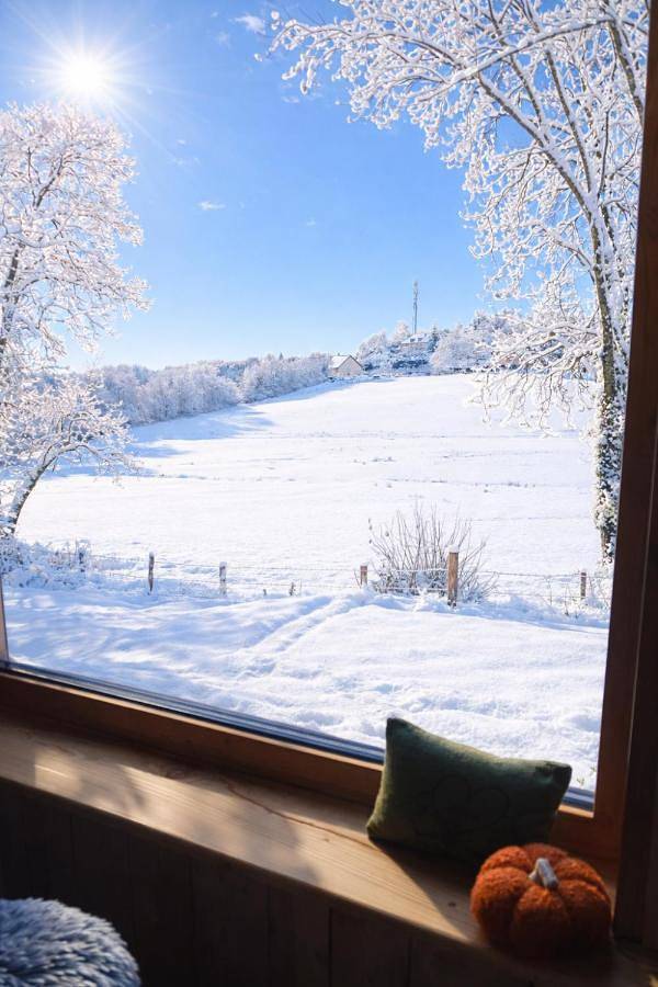 Location de vacances pour 10 personnes, avec terrasse et jardin à Clairvaux-les-Lacs - 4