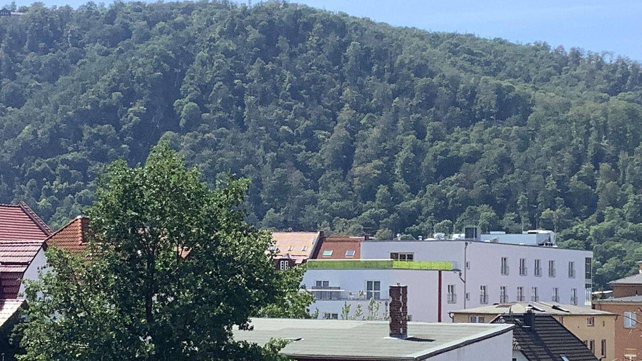 Appartement de vacances entier, Ferienwohnung für 4 Personen (50 m²) in Thale in Thale, Harzvorland