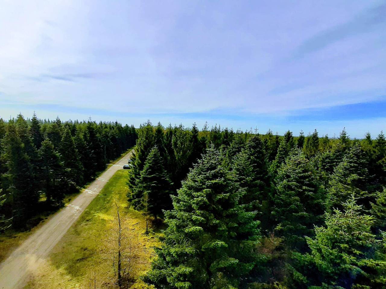 5 Personen Ferienhaus in Hovborg-By Traum in Hovborg, Vejen