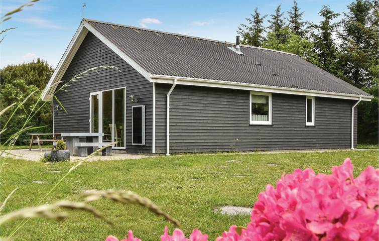 Ferienhaus für 6 Personen, mit Terrasse in Nissum Fjord - 2