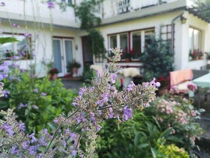 Ferienhaus für 3 Personen, mit Garten in Attergau - 3