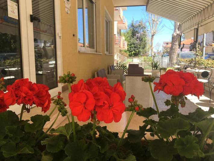 Appartamento per 4 persone, con Balcone e Terrazza nonché Giardino e Panorama a Viserbella