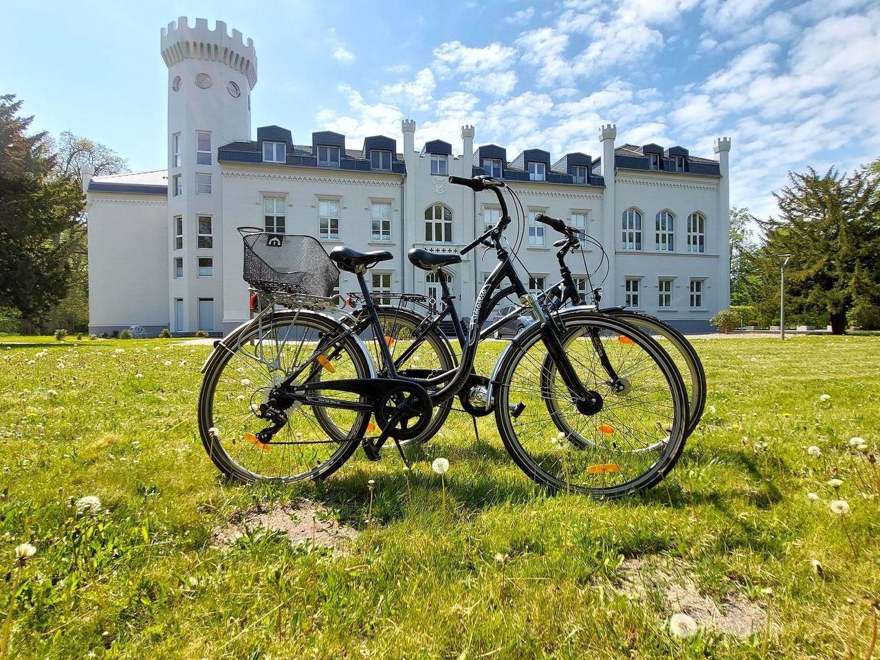 Schloss Hohendorf - Schloss Studio We 28 in Hohendorf (Groß Mohrdorf), Groß Mohrdorf