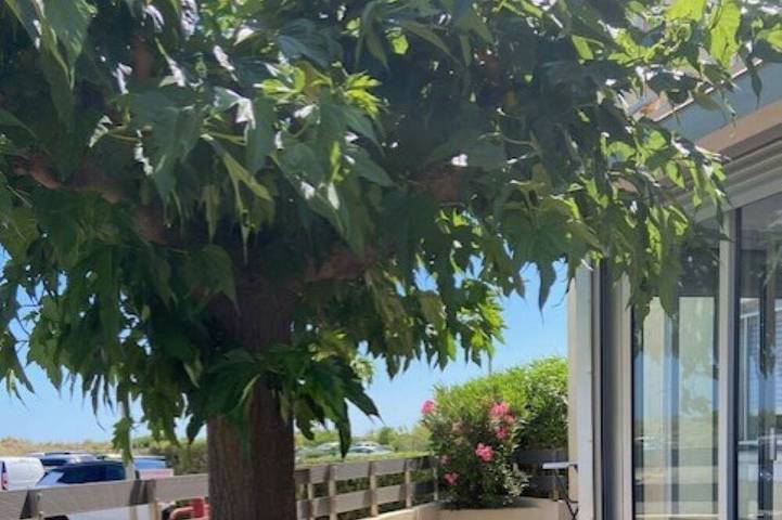 Appartement de vacances pour 4 personnes, avec terrasse