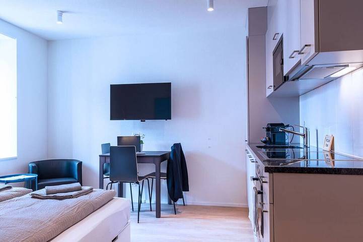 Ganze Wohnung, Zh Herta II - HITrental Central Station Apartment in Zürich, Bezirk Zürich