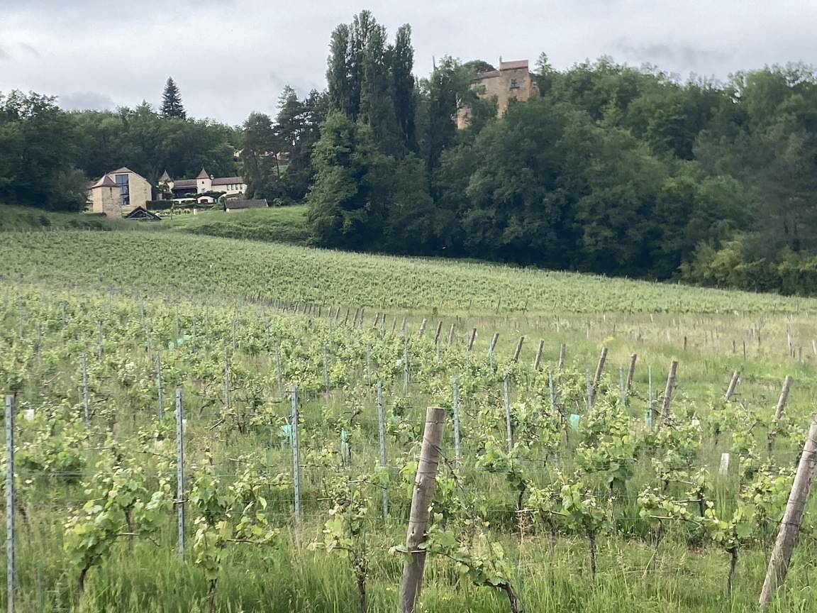 Gîte du Théron in Prayssac, Quercy