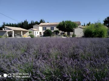 Chambre D’hôte pour 2 Personnes dans L'Isle-sur-la-Sorgue, Provence, Photo 2