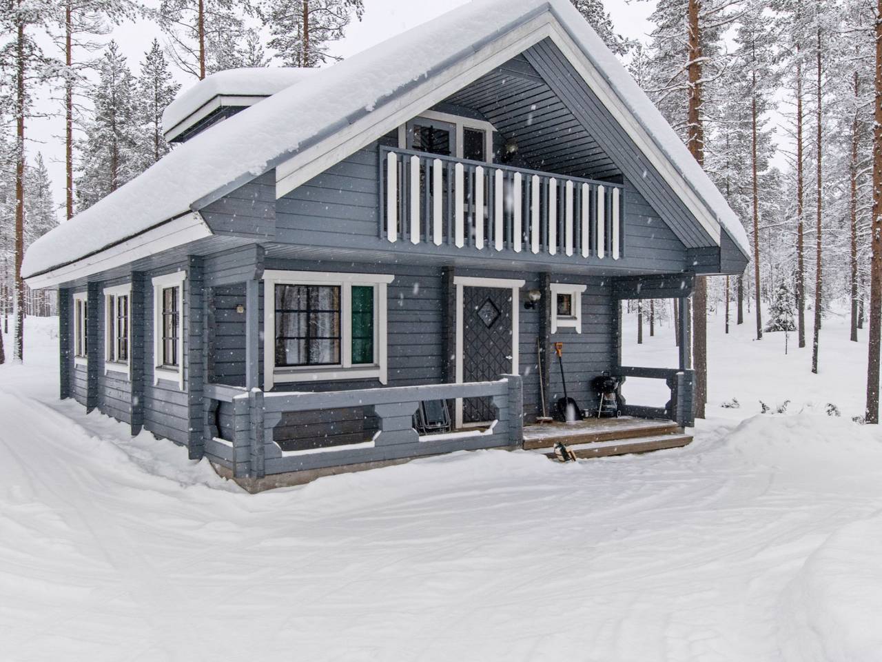 Ilves in Kainuu