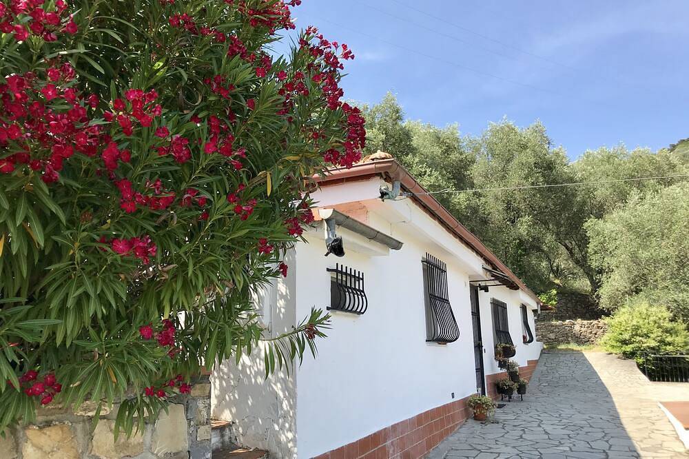 Ruhiges Urlaubsdomizil im Olivenhain in Diano San Pietro, Riviera di Ponente
