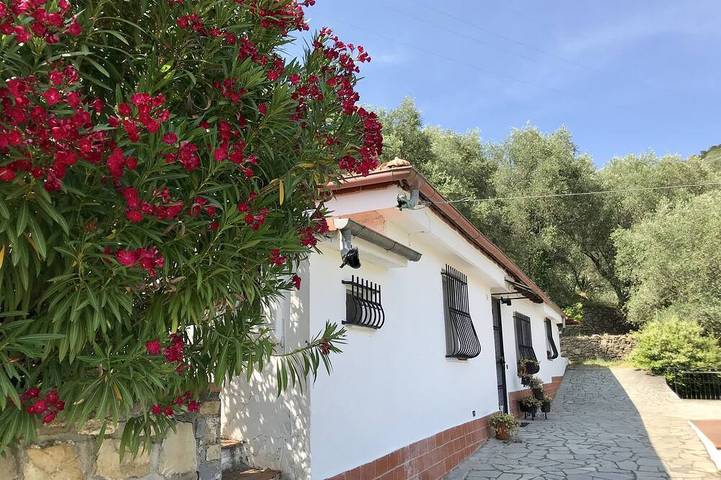 Ferienhaus für 4 Personen, mit Terrasse und Garten - 1