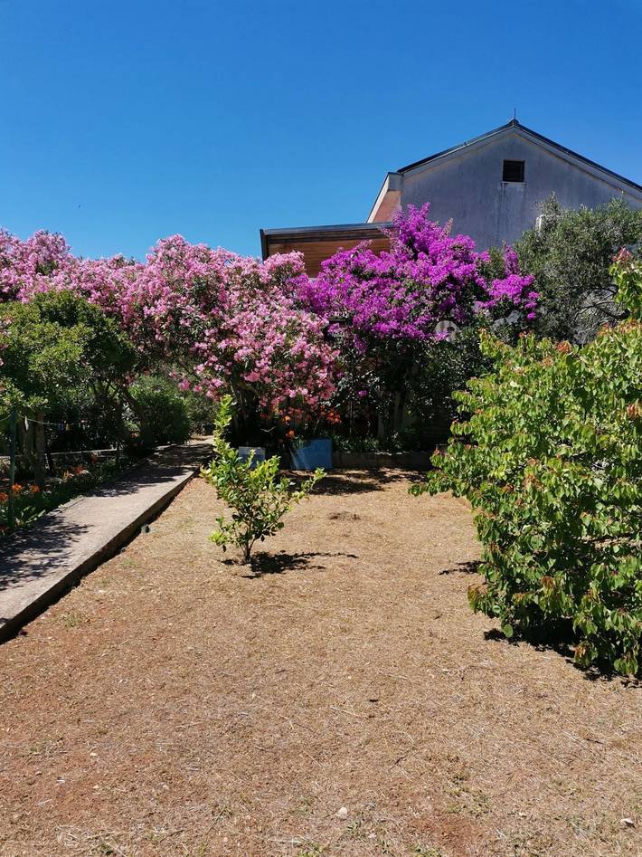 Ferienwohnung für 6 Personen, mit Garten und Terrasse - 1