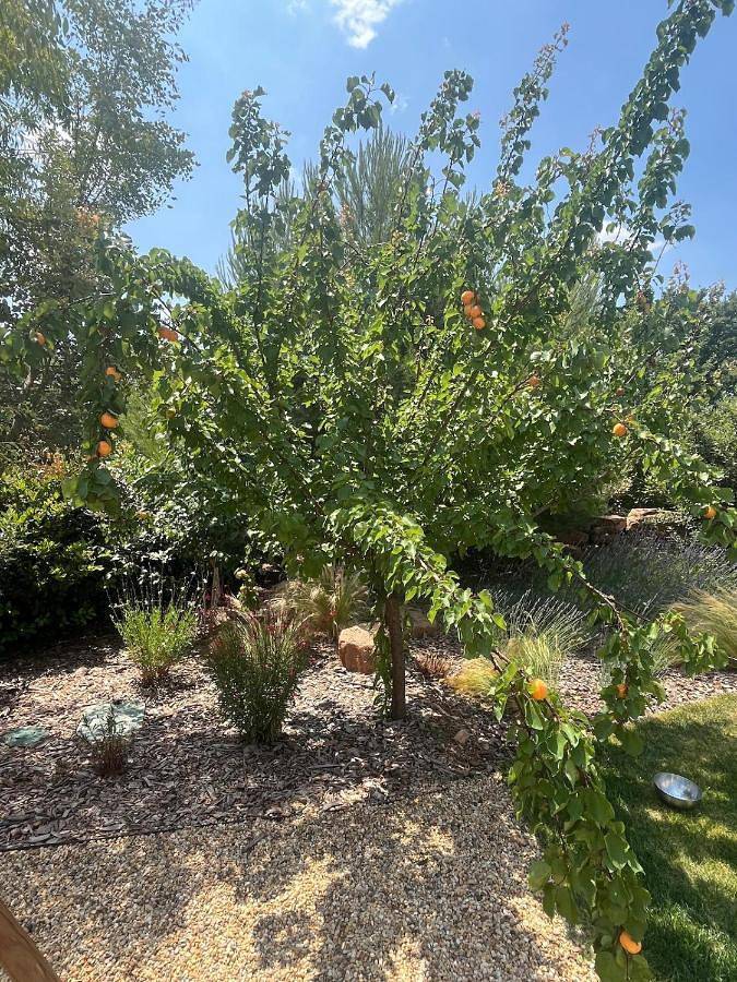 Location de vacances pour 8 personnes, avec terrasse et piscine à Châteauneuf-le-Rouge - 3