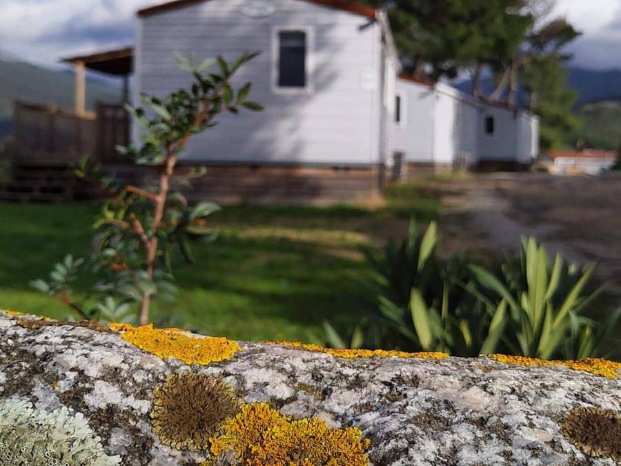Camping Tikiti - Mobilheim 5 personen - Mri - Samstag in Olmeto, Sartène und Umgebung