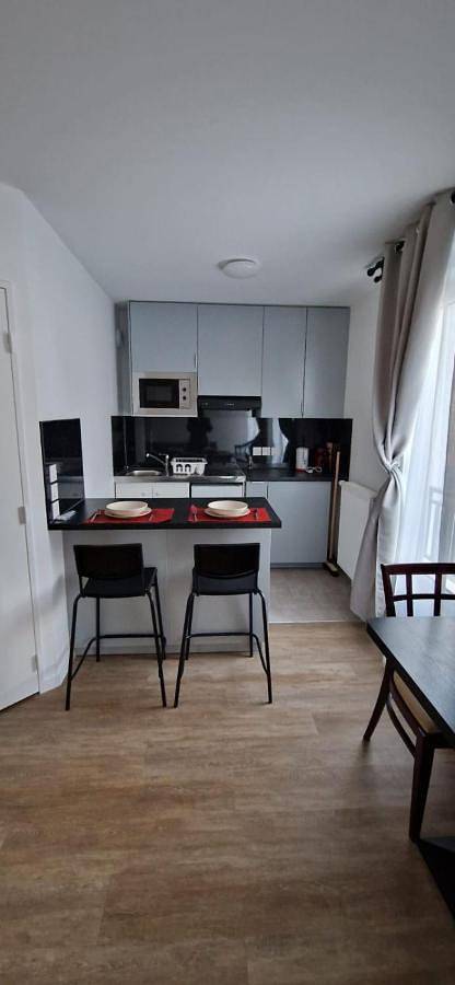 Gîte pour 15 personnes, avec terrasse et vue à Drancy - 4