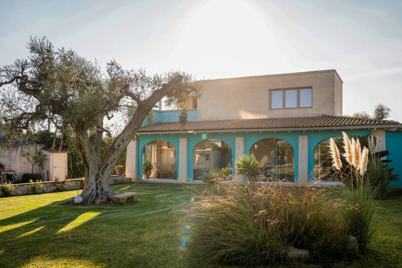 Villa entourée d'oliviers près de Mesagne in Mesagne, Salento