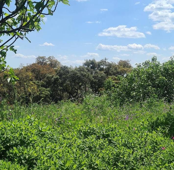 Apartamento de vacaciones para 2 personas, con terraza además de piscina y vistas en Sierra de Aracena y Picos de Aroche - 3