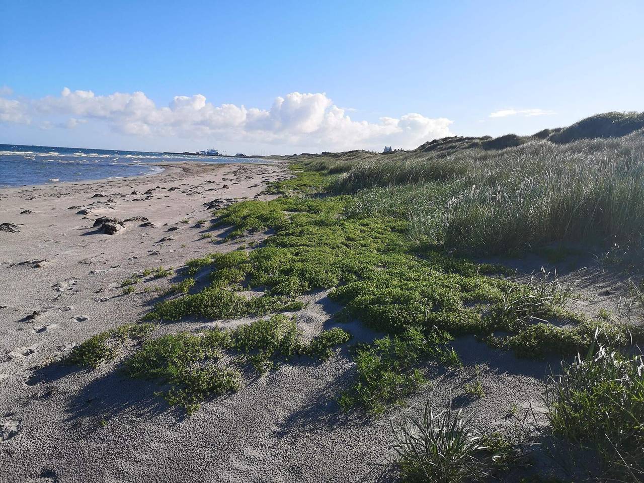 6 Personen Ferienhaus in Læsø-By Traum in Byrum, Læsø