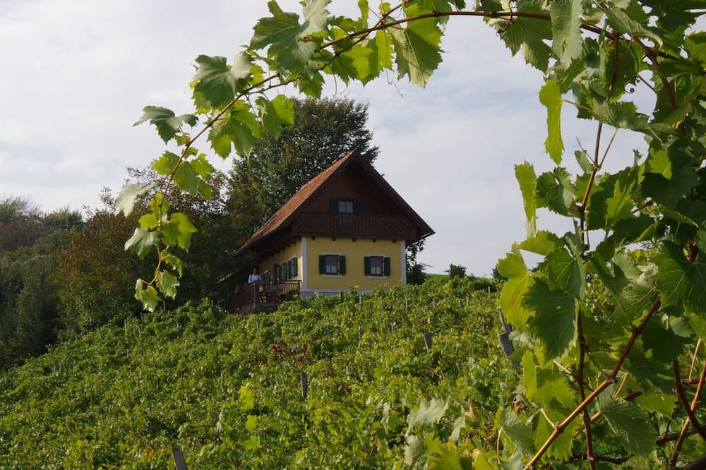 Inmitten von Weingärten mit Blick über das Steirische Vulkanland, Alleinlage! in Südoststeiermark, Straden