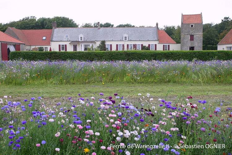 Gîte Cap Gris Nez - Le Bossuet in Audinghen, Région de Boulogne-sur-Mer