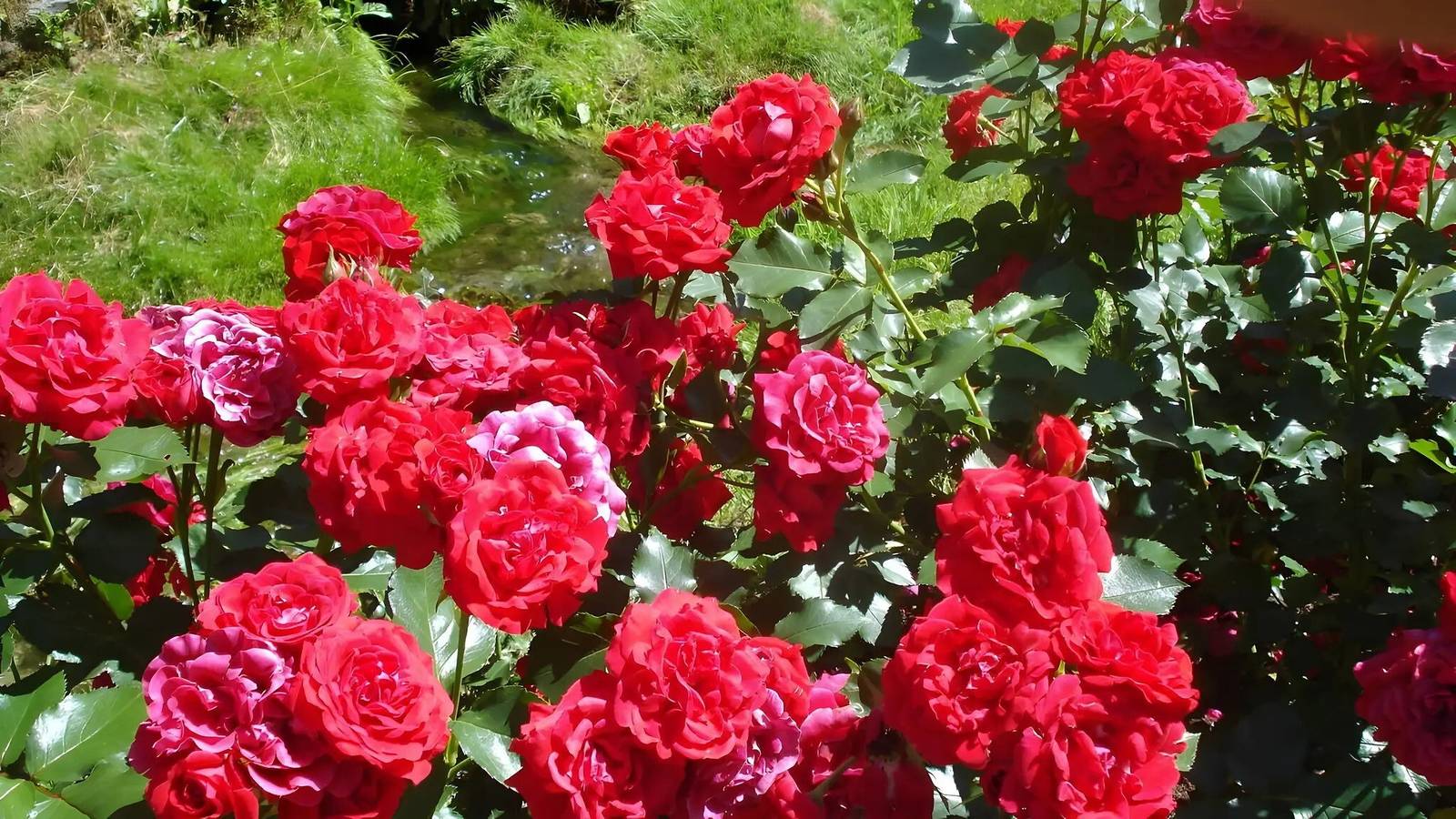 Ganze Wohnung, Apartment 'Ferienhof Hohe' mit Gemeinschaftspool, Garten und Wlan in Hiltpoltstein, Frankenalb