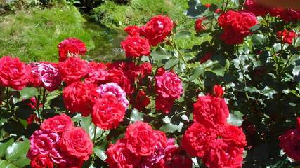 Bauernhof für 14 Personen in Hiltpoltstein, Fränkische Schweiz, Bild 4