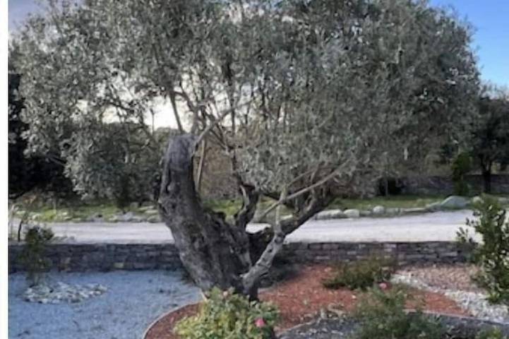 Location de vacances pour 4 personnes, avec Jacuzzi ainsi que Terrasse et Jardin à Cazevieille