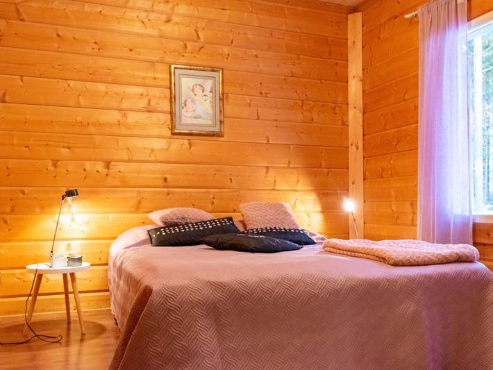 Näsinjoutsen in Pirkanmaa