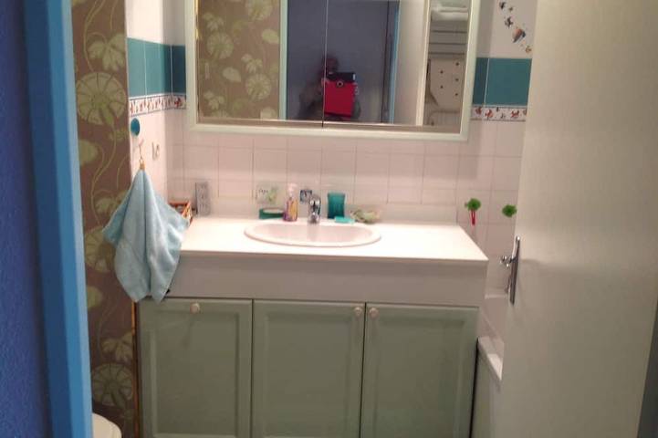 Gîte pour 3 personnes, avec terrasse, animaux acceptés à Besançon - 2