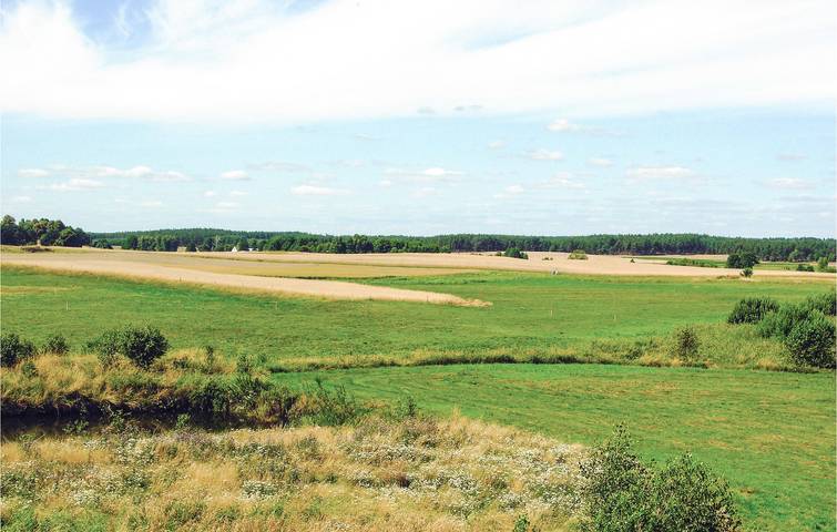 Ganze Ferienwohnung, Ferienwohnung für 7 Personen mit Terrasse in Tucheler Heide