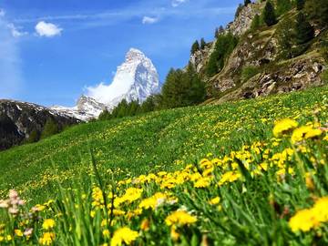 Hütte für 6 Personen in Zermatt, Monte Rosa Massiv, Bild 1