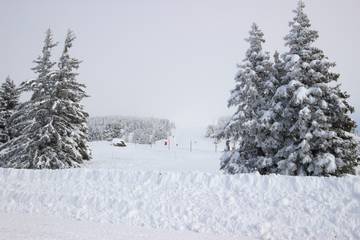 Chalet pour 6 Personnes dans Chamrousse, Parc national des Écrins, Photo 1