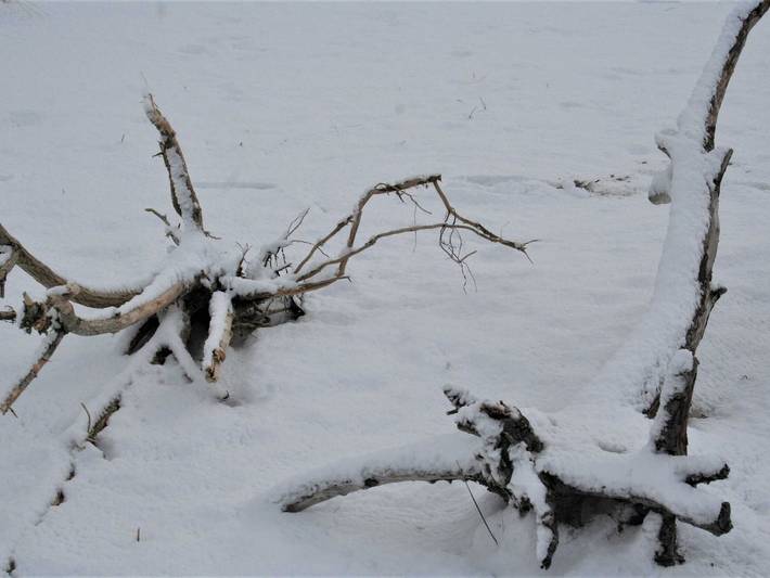 Ferienwohnung für 3 Personen, mit Balkon in Wustrow - 3