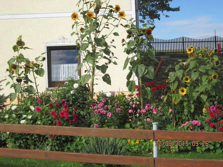 Ferienwohnung mit 2 Schlafzimmer in Bad Gottleuba-Berggießhübel, Osterzgebirge