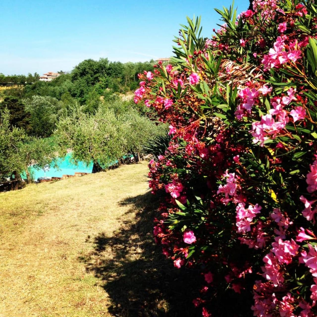 Villa Ginestruzze – Villa avec Piscine Privée et Suites Exclusives en Toscane in Montespertoli, Province de Florence