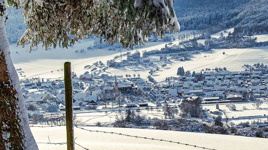 Ferienwohnung für 3 Personen, mit Sauna und Garten, kinderfreundlich in Geisingen