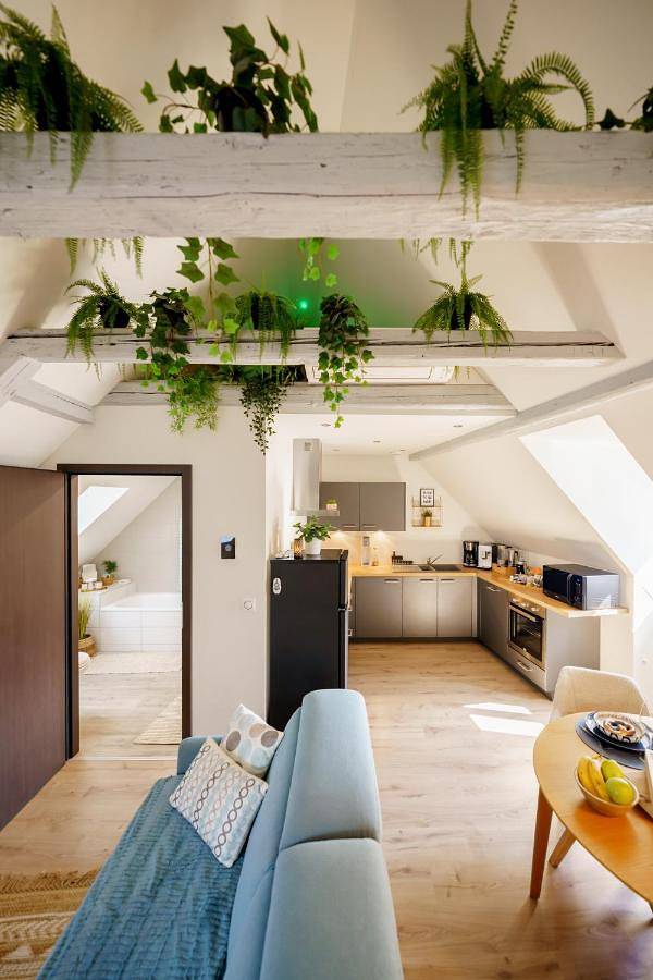 Gîte pour 6 personnes, avec vue à Molsheim - 2
