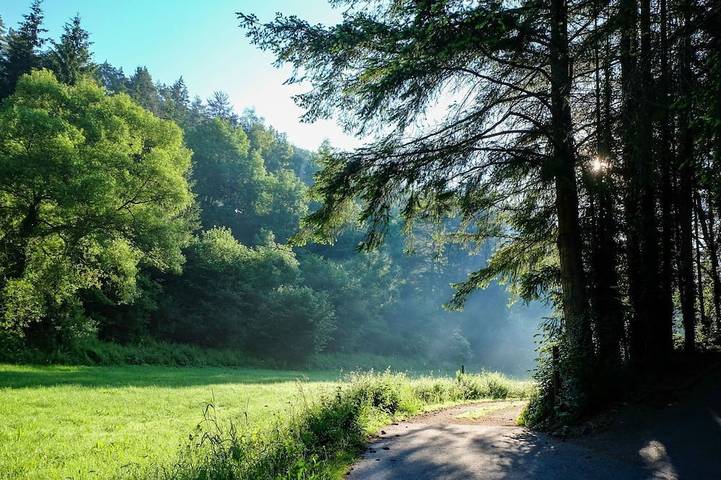 Ferienwohnung für 2 Personen, mit Garten, mit Haustier - 1