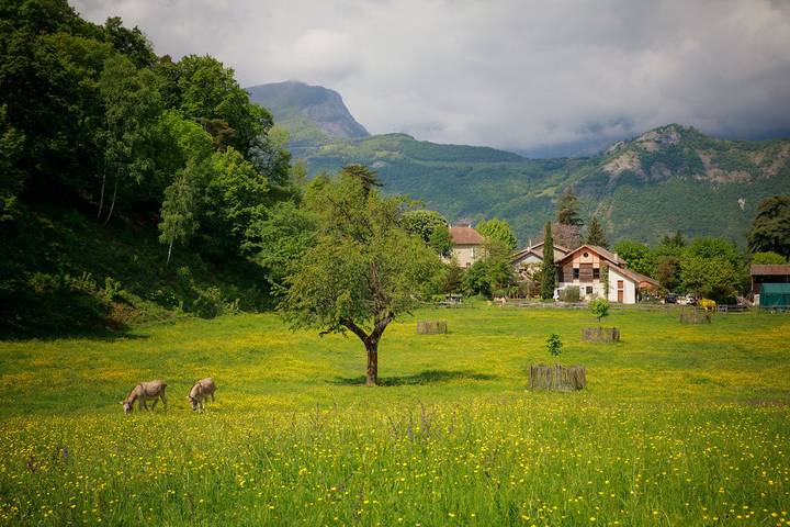 Cottage pour 2 personnes, avec jardin à Vif (Isère)