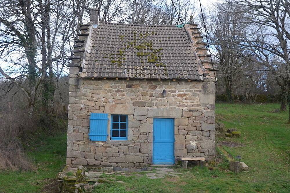 Un capullo en la naturaleza in Meyrignac-l'Église, Región de Tulle