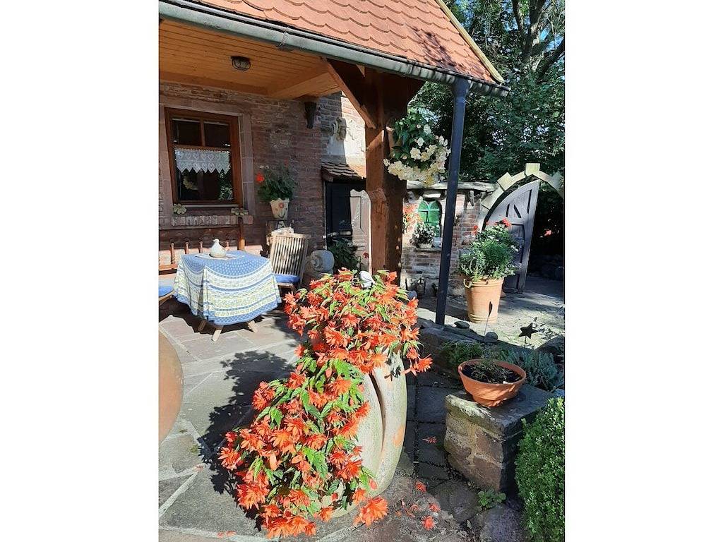 Im Rosengarten (Nähe Nordsee) in Loxstedt, Südliches Cuxland