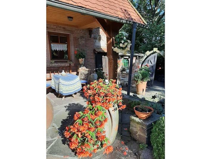 Ferienhaus für 3 Personen, mit Terrasse und Garten in Loxstedt