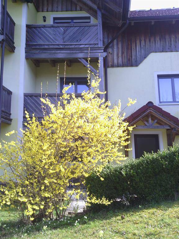 Ferienwohnung, mit Balkon und Terrasse sowie Garten am Traunsee - 2