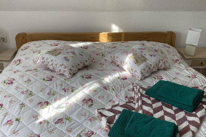 B&B für 4 Personen, mit Sauna in Sachsen - 2