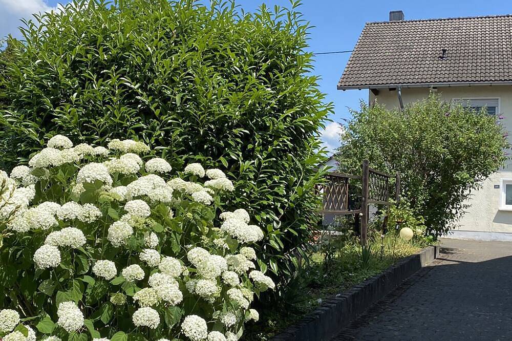 Ganze Wohnung, Fewo Sonnenlay Eg Links in Brauneberg, Bernkastel-Kues & Umgebung