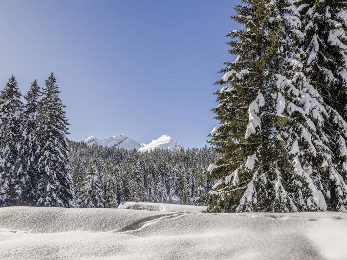 Ferienwohnung für 3 Personen, mit Garten und Terrasse, mit Haustier in Misox Calancatal - 2