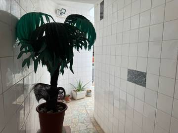 Casa De Férias para 8 Pessoas em Tavira, Ria Formosa, Foto 4